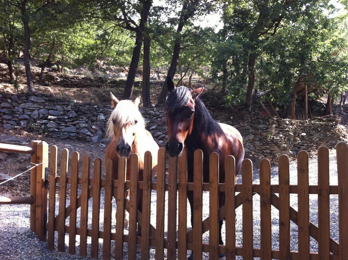 Gli Angeli Agriturismo Villa Cisano sul Neva Dış mekan fotoğraf